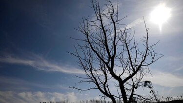 Renuncia una ministra portuguesa tras muertes en incendios
