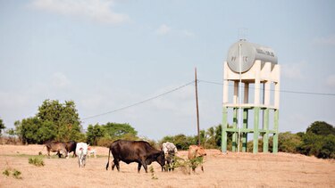 Miambiente impulsa cosecha de agua en Darién y Los Santos
