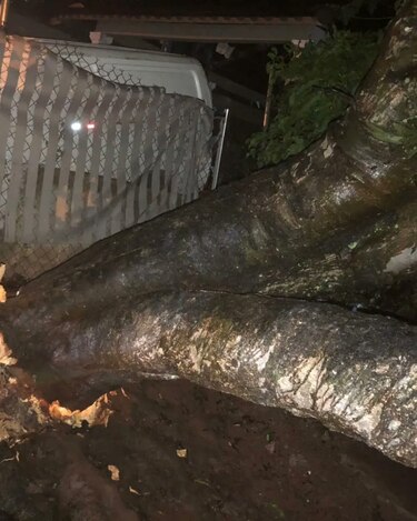 Unas 400 personas afectadas por las fuertes lluvias del domingo: Sinaproc  