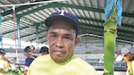El oro verde vuelve a brillar en Barú