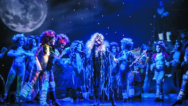 El musical ‘Cats’, a beneficio de la Casita de Mausi