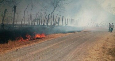 Ministerio de Ambiente se apoyará en el GPS para controlar incendios forestales