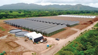 Tecnología israelí a prueba en el campo panameño