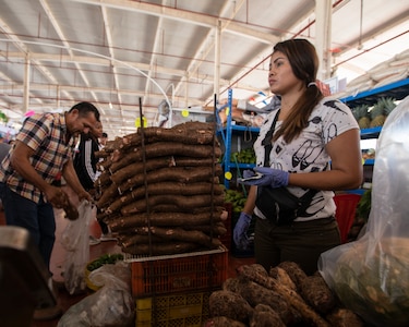 Cultivarás yuca