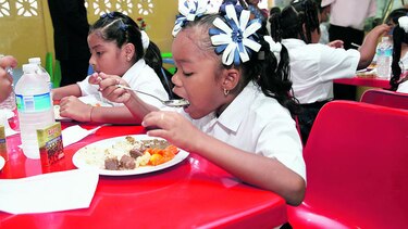 Regulan oferta alimenticia