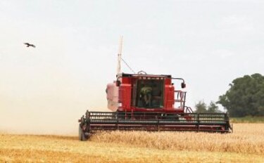 Cosecha brasileña subirá 15%