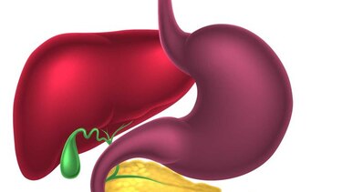 Importancia médica del microbioma