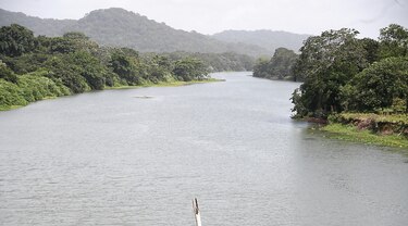 En julio, las lluvias en la cuenca del Canal disminuyeron 13.7%