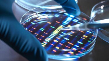 Qué son los ‘cristales de memoria’ que desafían las leyes de la física y prometen solucionar el problema del almacenamiento masivo de datos