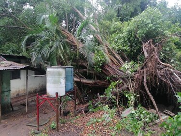 Onda tropical No.7 causa lluvias este fin de semana sobre varios sectores del país