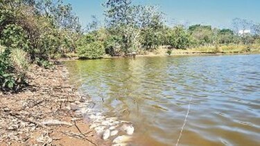 Desechos químicos acaban con el río Zaratí