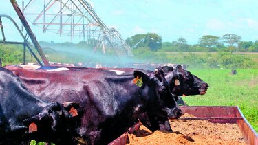 Buenas prácticas en el agro