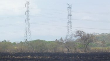 ASEP exonera a azucarera y multa a eléctricas