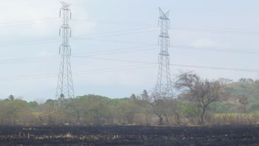 ASEP exonera a azucarera y multa a eléctricas