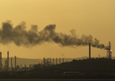 Menor contaminación no ha sido suficiente