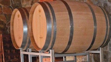 Esperan cosecha de calidad en vendimia italiana