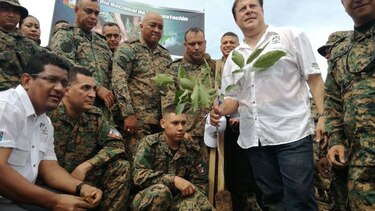 Miles de voluntarios participan en jornada de reforestación nacional