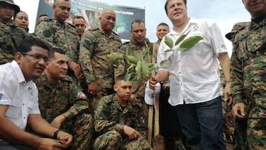 Miles de voluntarios participan en jornada de reforestación nacional