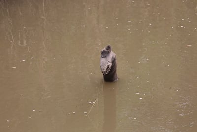 Agua para ricos, agua para pobres: así se bebe en La Villa