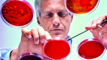 El costo de la resistencia microbiana