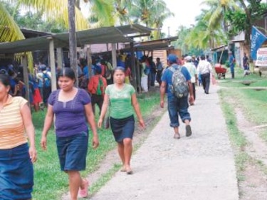 Otra fiebre del ratón: ¿Qué pasó con ...? Leptospirosis