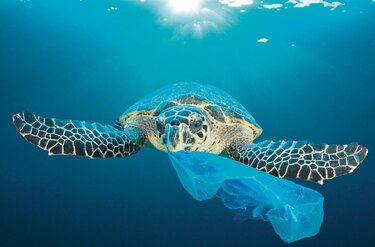 ¿Eliminar el plástico de los océanos?: bien, pero primero hay que rastrearlo