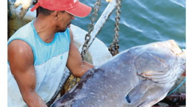 Panamá y la Unión Europea dialogan sobre la lucha contra la pesca ilegal