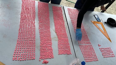 Decomisan mil 981 pastillas de droga sintética en el área de Costa del Este