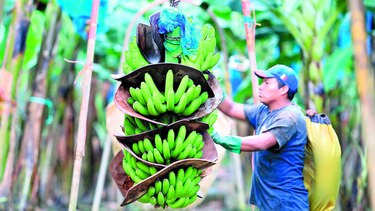 Negocios por $7.4 millones