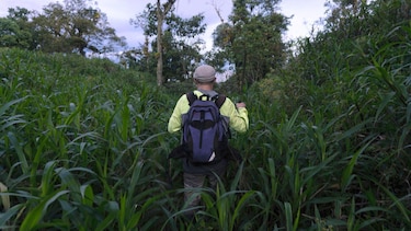La verdadera historia detrás de la ‘ciudad perdida’ de la Amazonía