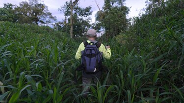 La verdadera historia detrás de la ‘ciudad perdida’ de la Amazonía