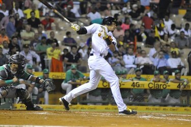 Johan Camargo, con buena actuación en Dominicana