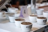 50 lotes del mejor café de Panamá serán subastados en línea este miércoles