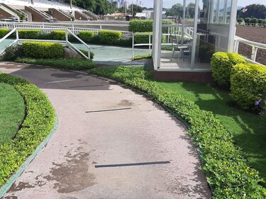 Hipódromo se prepara para reanudar las carreras el 1 de octubre