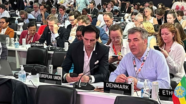 5 conclusiones de la accidentada cumbre del Clima en Brasil, que acabó sin mención a los combustibles fósiles