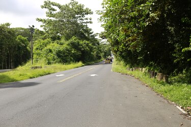 Ensanche de la vía Omar Torrijos: Lo que dice la encuesta del estudio ambiental