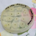 ICBG lleva la ciencia a las aulas