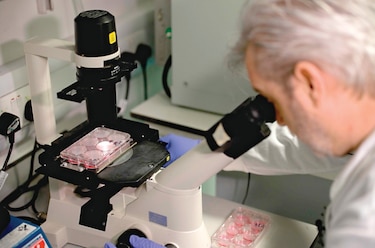 Elaborar una vacuna para el  coronavirus tardará 18 meses 