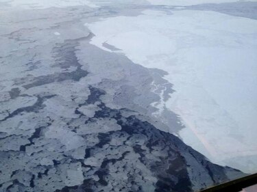 Cambio climático influye en ecosistemas terrestre y marino del Ártico