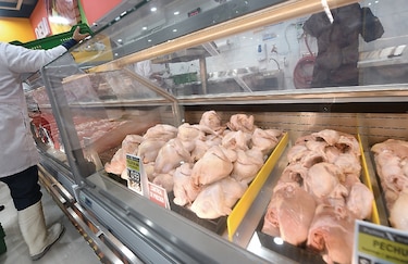 El ‘pollo’, rey del plato en Panamá