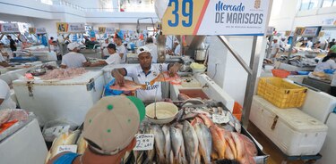 El buen pescado panameño se comercializa afuera