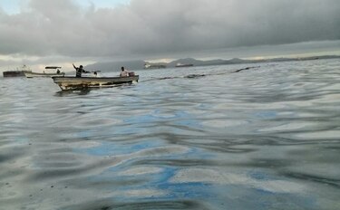 Fiscalía de Ambiente comenzó una investigación por el derrame de una sustancia en la costa de la isla Taboguilla