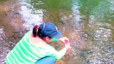 Aseguran pureza de ríos del oriente de Chiriquí
