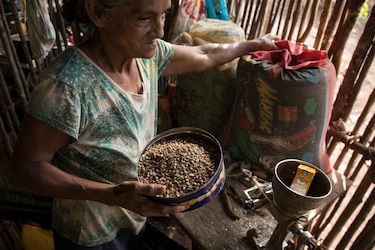 América Latina no alcanzará meta hambre cero 2030