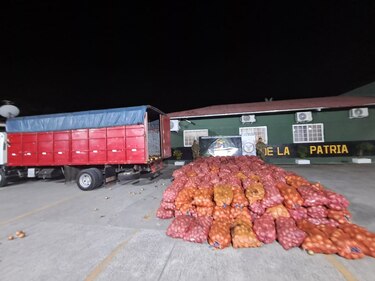 Retienen camión con 400 quintales de cebolla presuntamente de contrabando