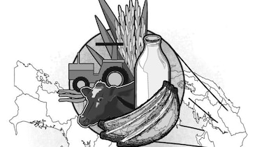 El potencial agropecuario