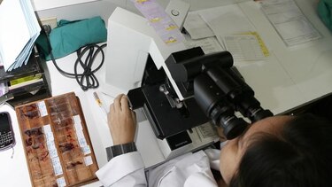 Arma contra el cáncer, en veremos