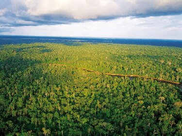 Hoy se eligen las nuevas siete maravillas de la naturaleza