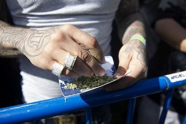 Gobierno uruguayo dio habilitación sanitaria a marihuana que se venderá legalmente