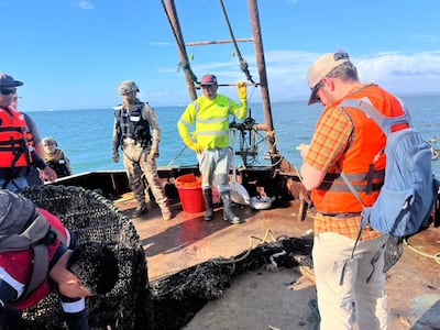 Inspecciones ponen a prueba a la flota camaronera panameña